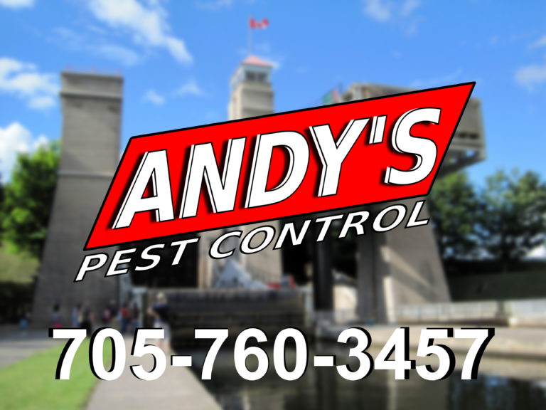 Pest Control Peterborough - Andy's Pest Control - Contact Us